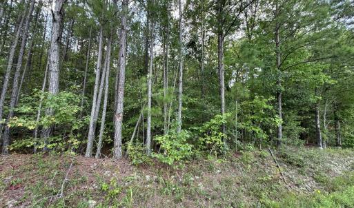 Photo #5 of New Elam Church, Moncure, NC 14.3 acres