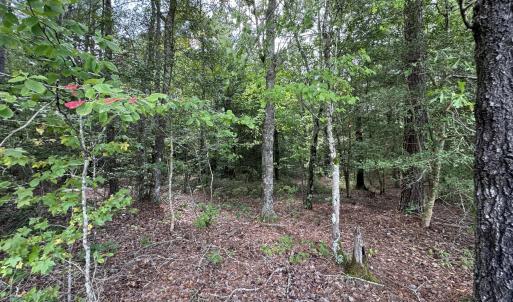 Photo #6 of New Elam Church, Moncure, NC 14.3 acres
