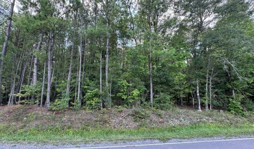 Photo #2 of New Elam Church, Moncure, NC 14.3 acres