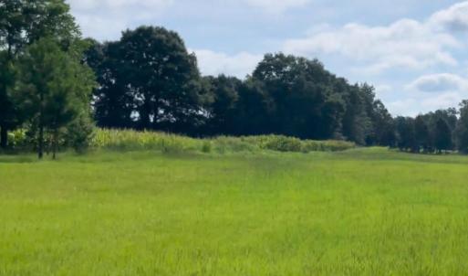 Photo #3 of 8482 State Highway 27 W, Lillington, NC 22.4 acres