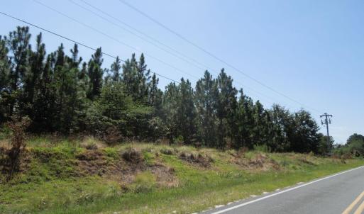 Photo #11 of Tbd Hwy 24 And Marks Rd, Cameron, NC 12.8 acres
