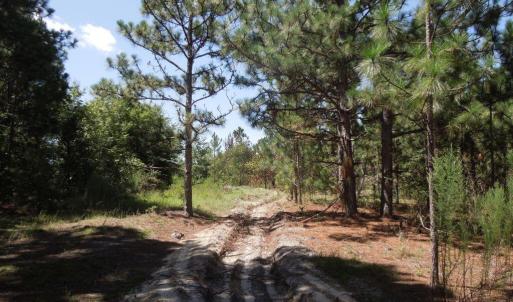 Photo #12 of Tbd Hwy 24 And Marks Rd, Cameron, NC 12.8 acres