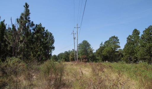 Photo #7 of Tbd Hwy 24 And Marks Rd, Cameron, NC 12.8 acres