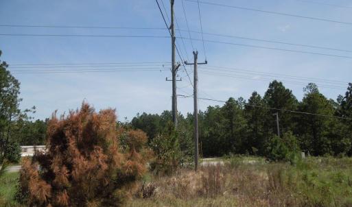 Photo #8 of Tbd Hwy 24 And Marks Rd, Cameron, NC 12.8 acres