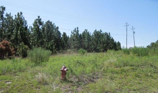 Photo #1 of Tbd Hwy 24 And Marks Rd, Cameron, NC 12.8 acres