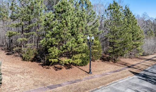 Photo #1 of 49 Larkington, Siler City, NC 4.1 acres