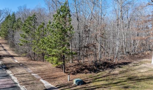 Photo #13 of 49 Larkington, Siler City, NC 4.1 acres