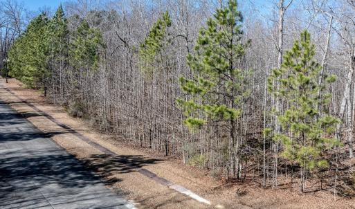 Photo #2 of 49 Larkington, Siler City, NC 4.1 acres