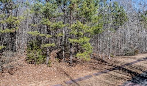 Photo #12 of 49 Larkington, Siler City, NC 4.1 acres