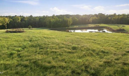 Photo #13 of 233 Buck Gunter, Siler City, NC 6.1 acres