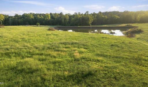 Photo #12 of 233 Buck Gunter, Siler City, NC 6.1 acres
