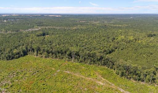 Photo #2 of 1d Ponderosa, Cameron, NC 18.7 acres