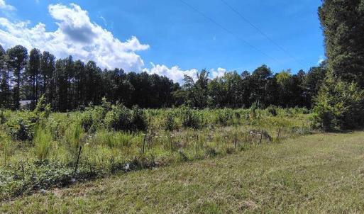 Photo #5 of 3029 Edgemont, Wendell, NC 8.8 acres