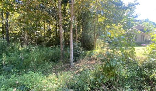 Photo #2 of 260 Sterling, Angier, NC 1.5 acres