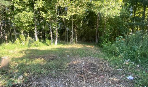 Photo #1 of 260 Sterling, Angier, NC 1.5 acres