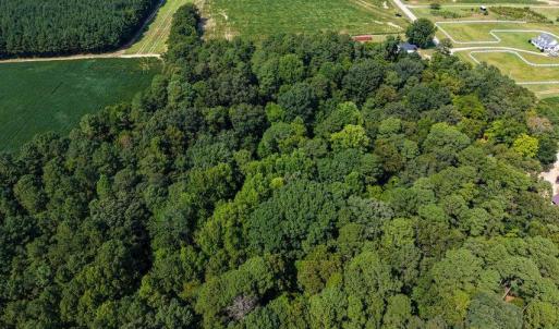 Photo #11 of Stott, Bailey, NC 13.3 acres