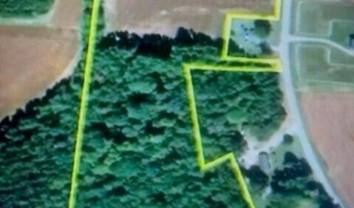 Photo #3 of Stott, Bailey, NC 13.3 acres