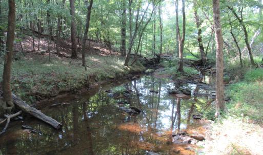 Photo #23 of 2643 Roberts Chapel, Goldston, NC 16.8 acres