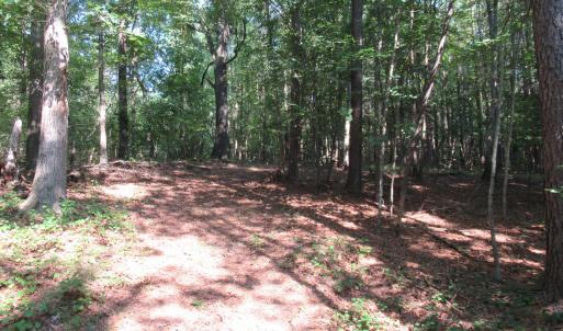 Photo #19 of 2643 Roberts Chapel, Goldston, NC 16.8 acres