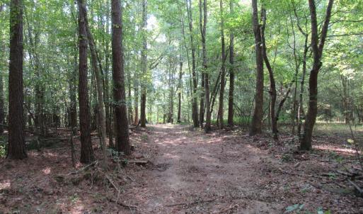 Photo #17 of 2643 Roberts Chapel, Goldston, NC 16.8 acres