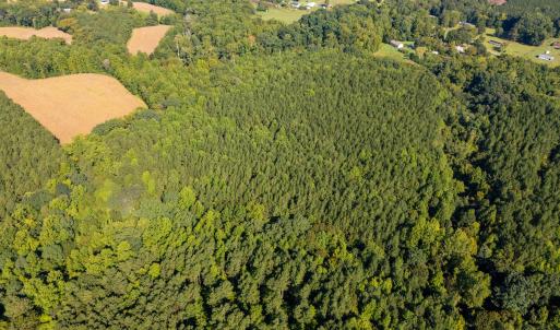 Photo #5 of 2643 Roberts Chapel, Goldston, NC 16.8 acres