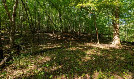 Photo #8 of 2643 Roberts Chapel, Goldston, NC 16.8 acres