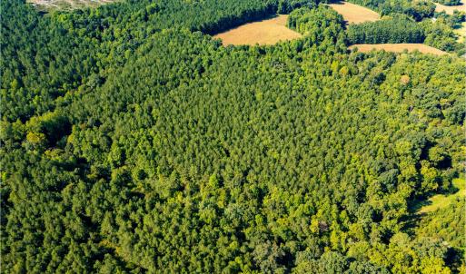Photo #6 of 2643 Roberts Chapel, Goldston, NC 16.8 acres