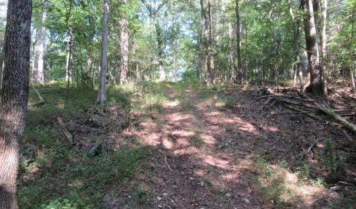 Photo #20 of 2643 Roberts Chapel, Goldston, NC 16.8 acres