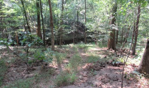 Photo #18 of 2643 Roberts Chapel, Goldston, NC 16.8 acres