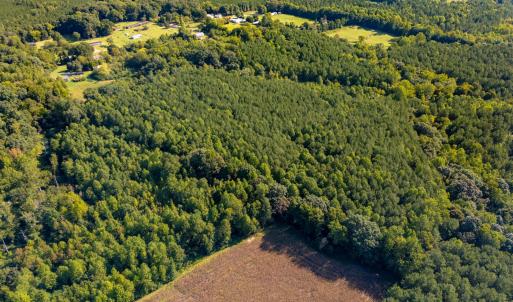 Photo #4 of 2643 Roberts Chapel, Goldston, NC 16.8 acres