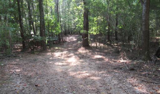 Photo #15 of 2643 Roberts Chapel, Goldston, NC 16.8 acres