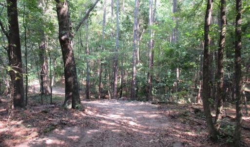 Photo #16 of 2643 Roberts Chapel, Goldston, NC 16.8 acres
