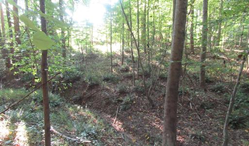 Photo #44 of 2643 Roberts Chapel, Goldston, NC 16.8 acres