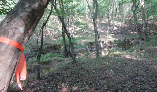 Photo #28 of 2643 Roberts Chapel, Goldston, NC 16.8 acres