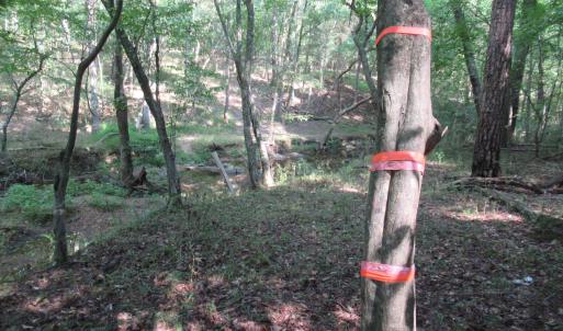 Photo #27 of 2643 Roberts Chapel, Goldston, NC 16.8 acres