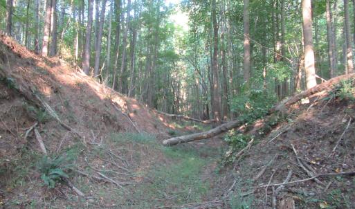 Photo #41 of 2643 Roberts Chapel, Goldston, NC 16.8 acres