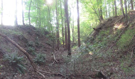 Photo #42 of 2643 Roberts Chapel, Goldston, NC 16.8 acres