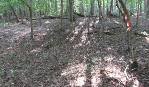 Photo #25 of 2643 Roberts Chapel, Goldston, NC 16.8 acres