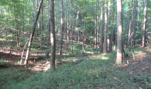 Photo #43 of 2643 Roberts Chapel, Goldston, NC 16.8 acres