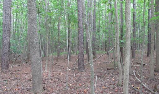 Photo #33 of 2643 Roberts Chapel, Goldston, NC 16.8 acres