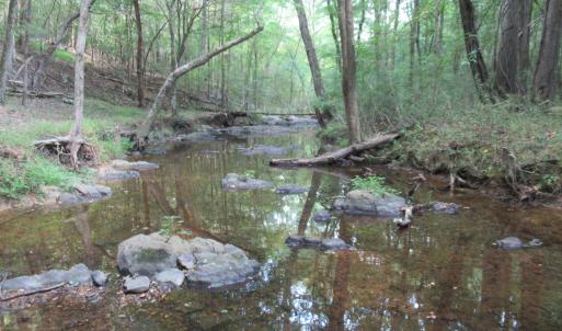 Photo #24 of 2643 Roberts Chapel, Goldston, NC 16.8 acres
