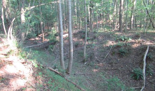 Photo #39 of 2643 Roberts Chapel, Goldston, NC 16.8 acres