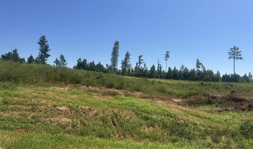 Photo #1 of Lot 6 0 W Old Spring Hope Rd, Spring Hope, NC 0.9 acres