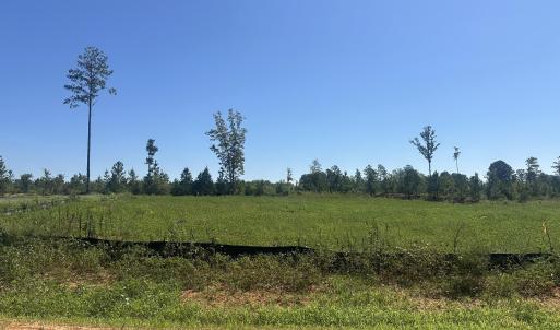 Photo #1 of Lot 3 0 W Old Spring Hope Rd, Spring Hope, NC 1.1 acres