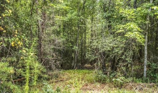 Photo #13 of Lot 5 Green Mountain, Hillsborough, NC 10.0 acres