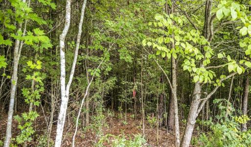 Photo #14 of Lot 5 Green Mountain, Hillsborough, NC 10.0 acres