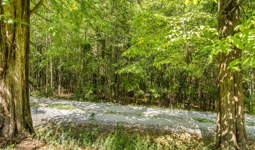 Photo #12 of Lot 5 Green Mountain, Hillsborough, NC 10.0 acres
