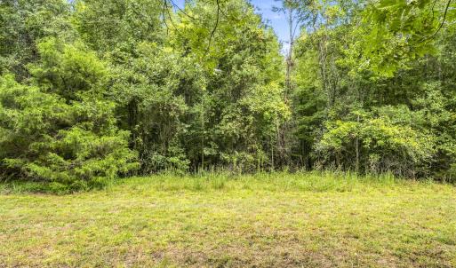 Photo #8 of Lot 5 Green Mountain, Hillsborough, NC 10.0 acres