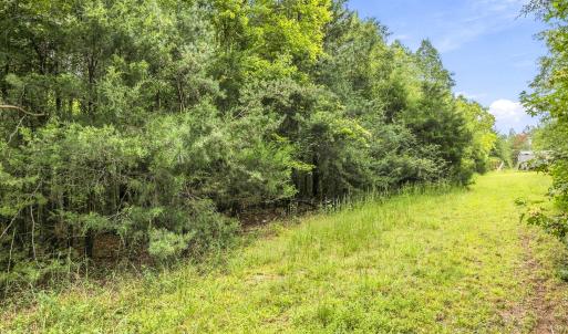 Photo #9 of Lot 5 Green Mountain, Hillsborough, NC 10.0 acres