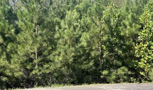 Photo #1 of Lot 15 0 W Old Spring Hope Rd, Spring Hope, NC 2.3 acres